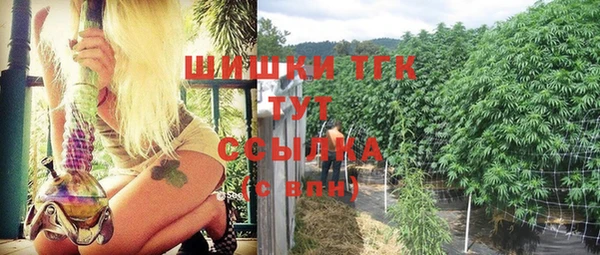 PSILOCYBIN Богородицк