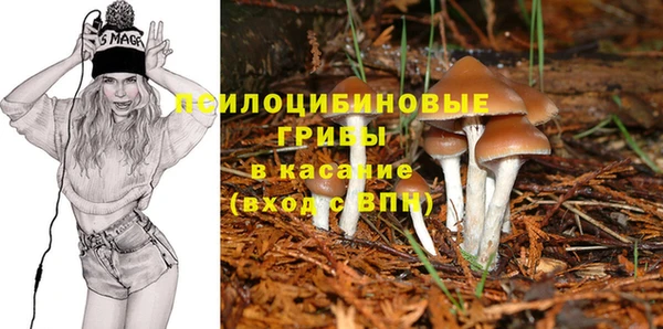 PSILOCYBIN Богородицк