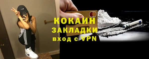 PSILOCYBIN Богородицк