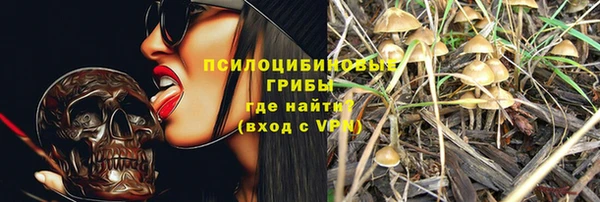метамфетамин Богданович