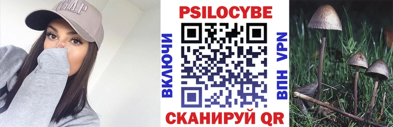 Псилоцибиновые грибы мицелий  Ейск 