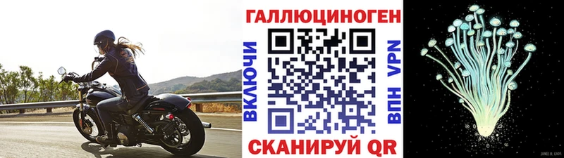Галлюциногенные грибы прущие грибы Ейск